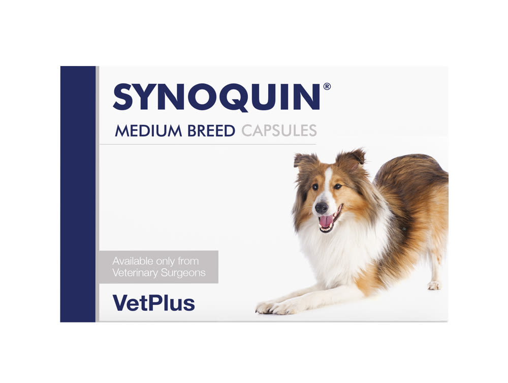Synoquin EFA Sprinkle Capsules for Medium Dog
