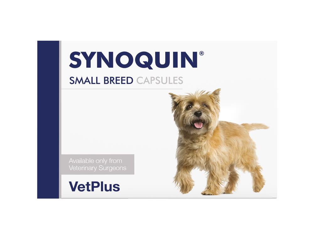Synoquin EFA Sprinkle Capsules for Small Dog