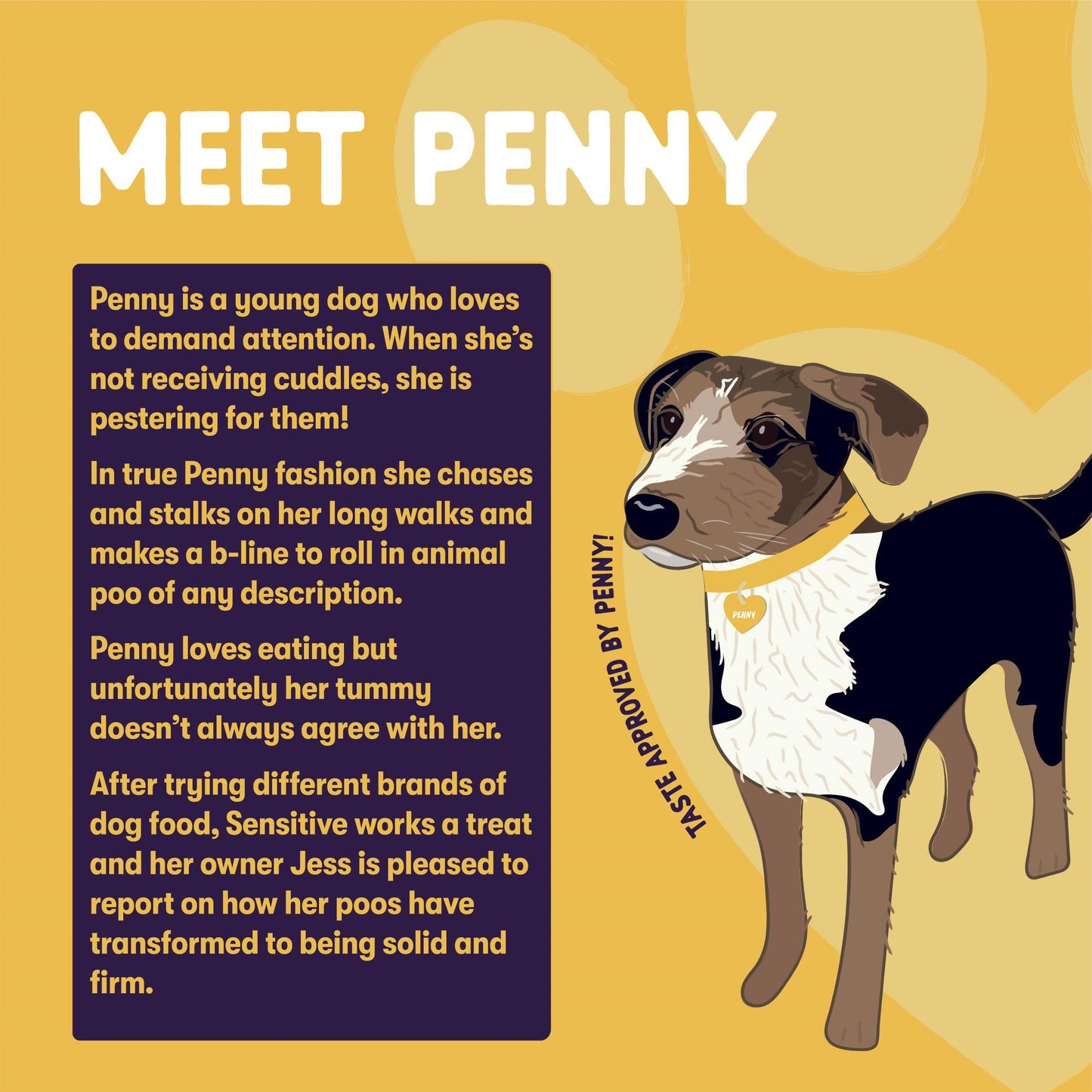 Burgess Sensitive Adult Hypoallergenic Turkey & Rice Dry Dog Food