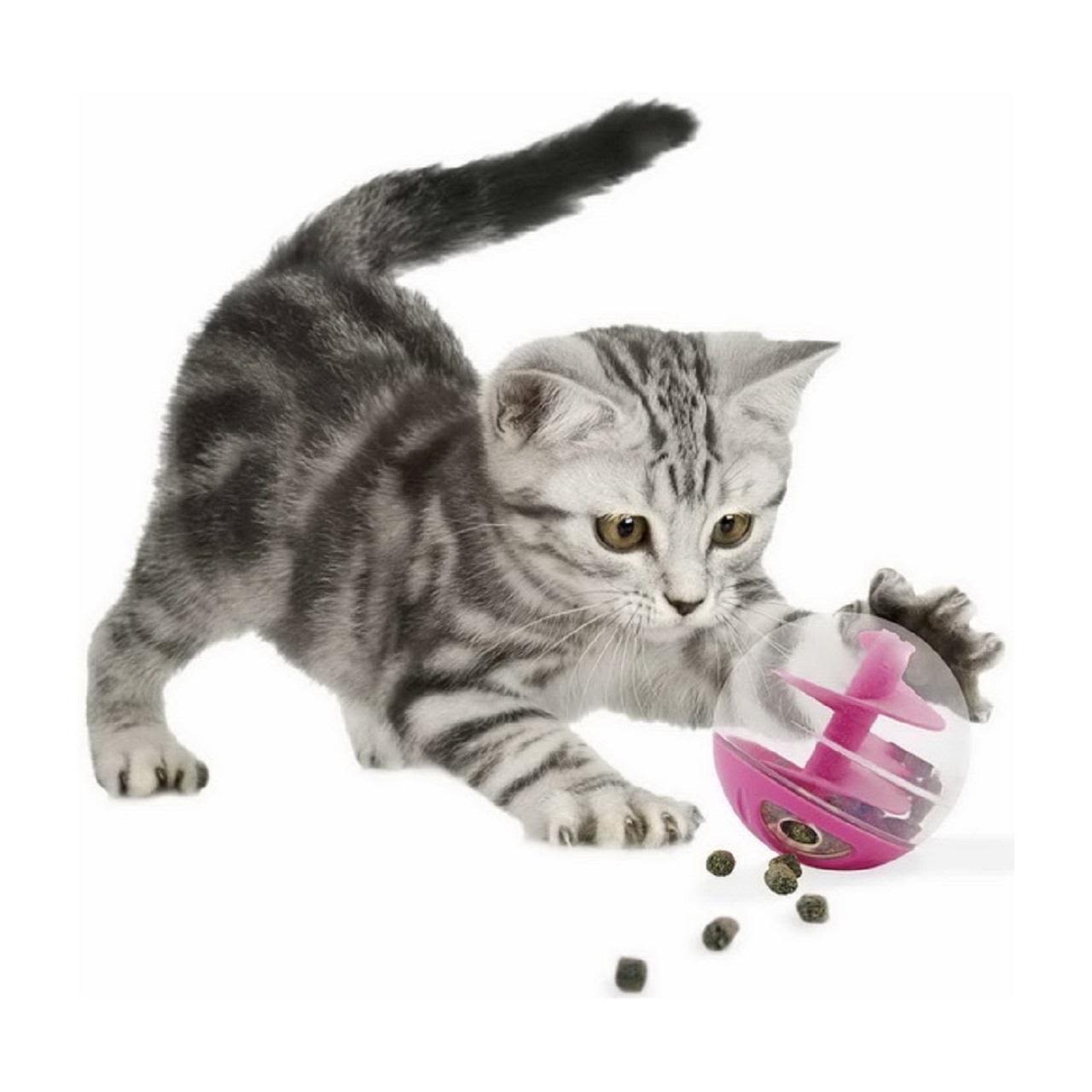 Catit Treat Ball Pink