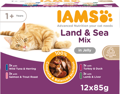 Iams Delights Adult Land & Sea Collection in Jelly Multipack