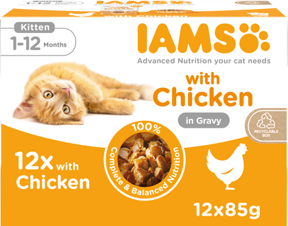 Iams Delights Kitten Chicken in Gravy Multipack