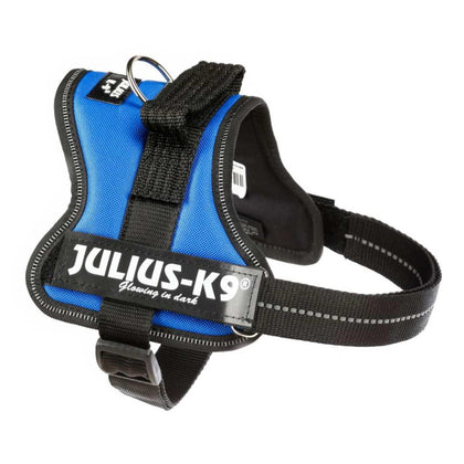 Julius-K9 Powerharness Blue Dog Harness