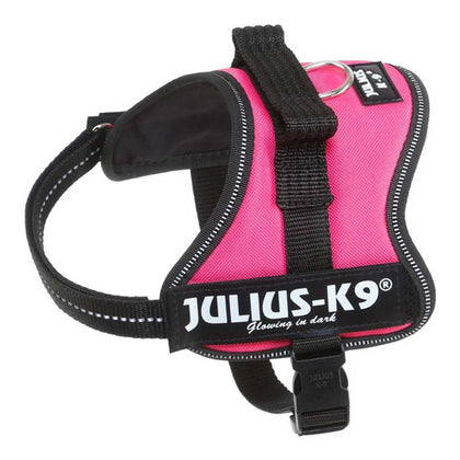 Julius-K9 Powerharness Fuchsia Dog Harness