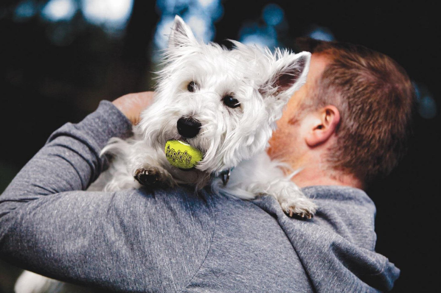 KONG Air Dog Squeaker Tennis Ball With Rope Dog Toy