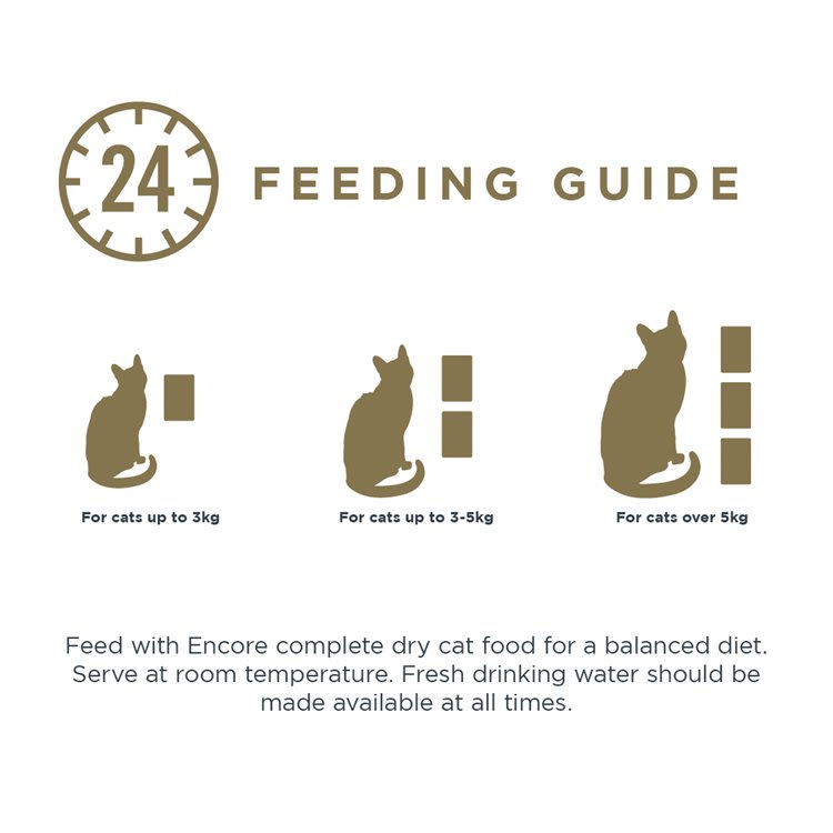 Encore Adult Wet Cat Food Pouches - Fish Selection in Broth