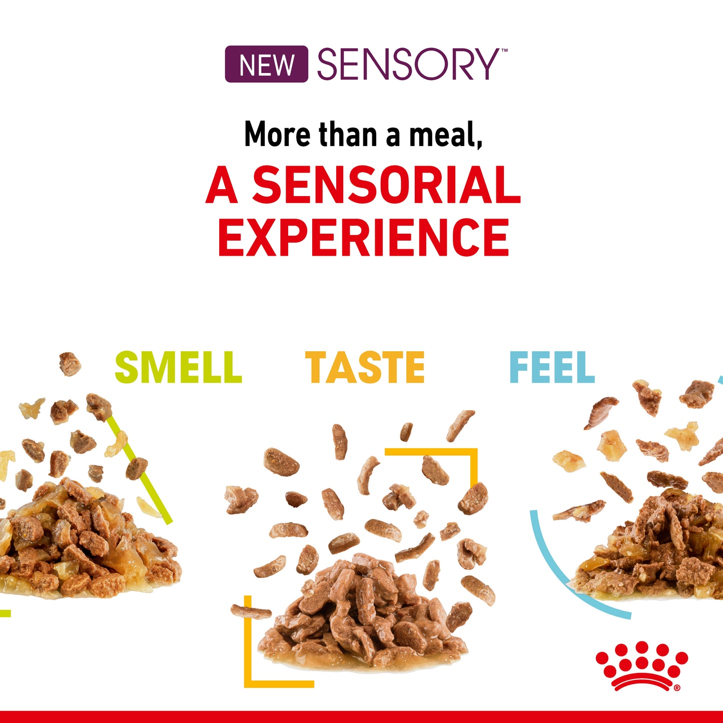Royal Canin Sensory Variety Pack Wet Cat Food in Gravy