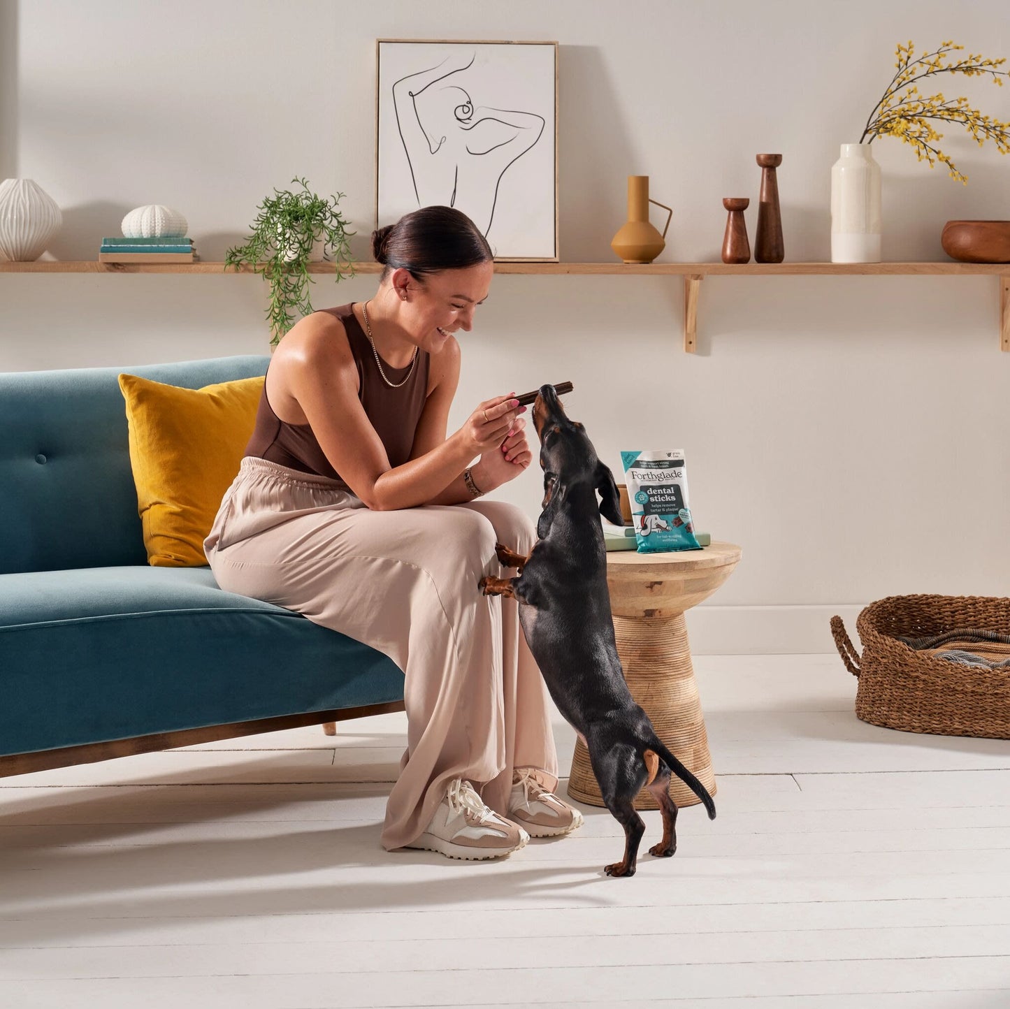 Forthglade Natural Plant Based Dental Sticks Dog Treats