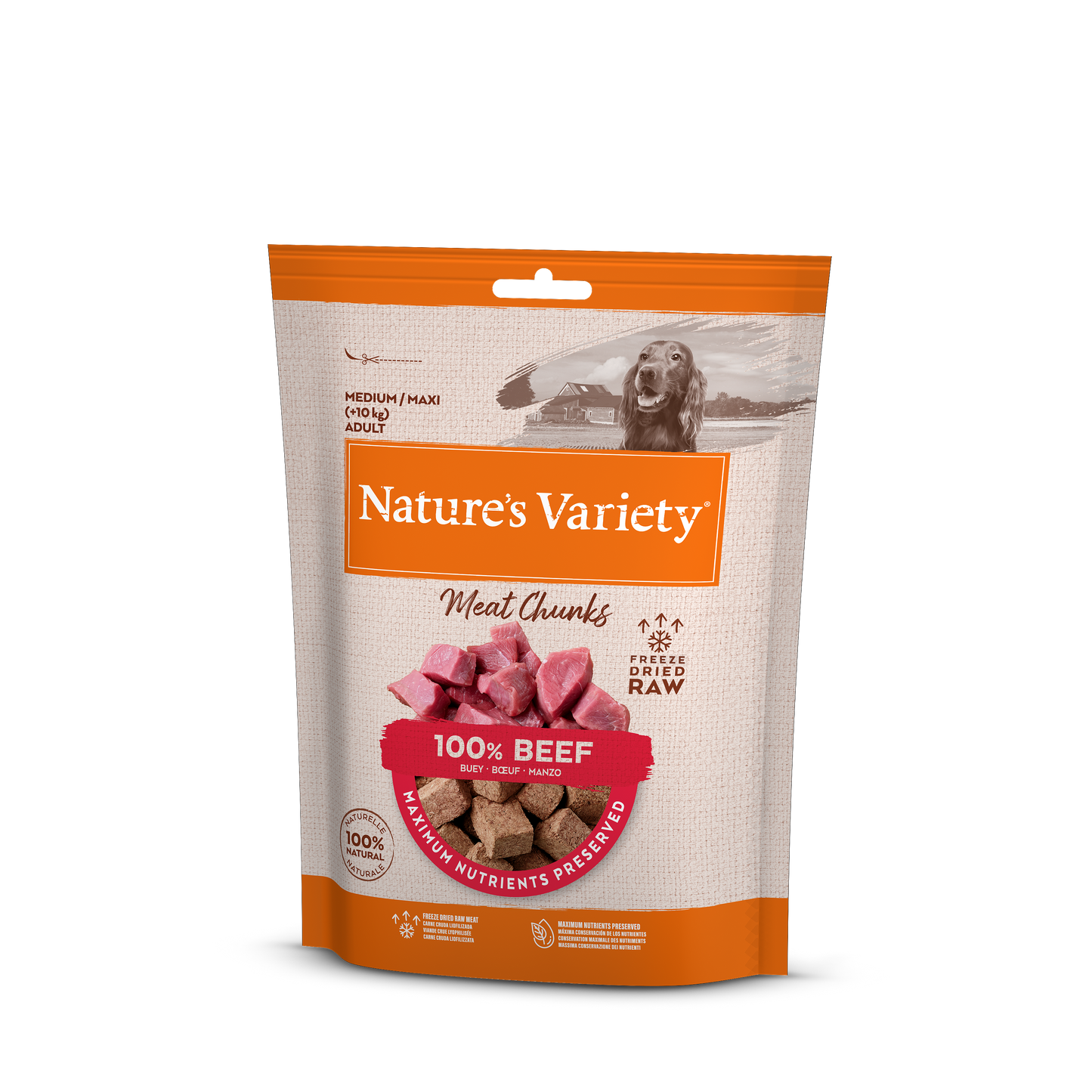 Nature's Variety Freeze Dried Meat Chunks Dog Treats - Beef