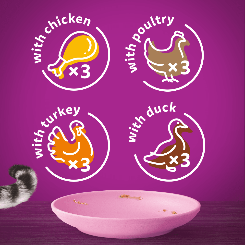 Whiskas Cat Pouches Poultry Feasts in Jelly 2-12Months Wet Kitten Food