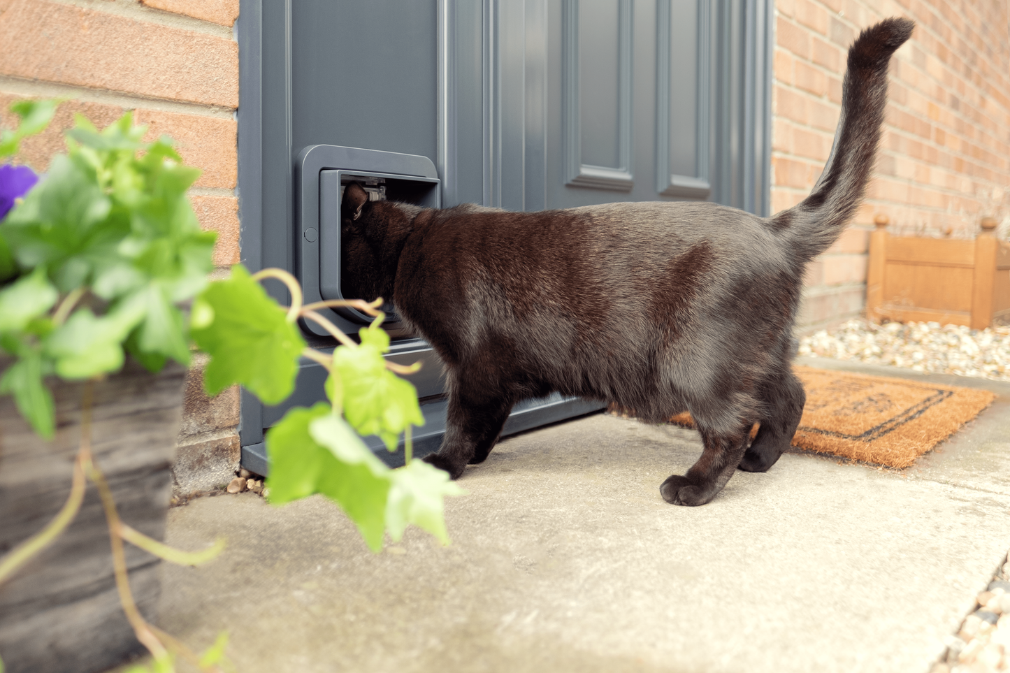 SureFlap Microchip Cat Flap - White/Grey