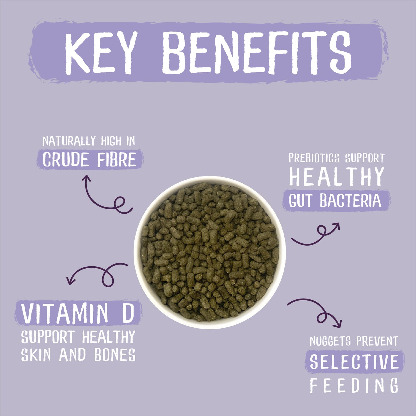Burgess Excel Indoor Rabbit Nuggets - Dandelion & Nettle