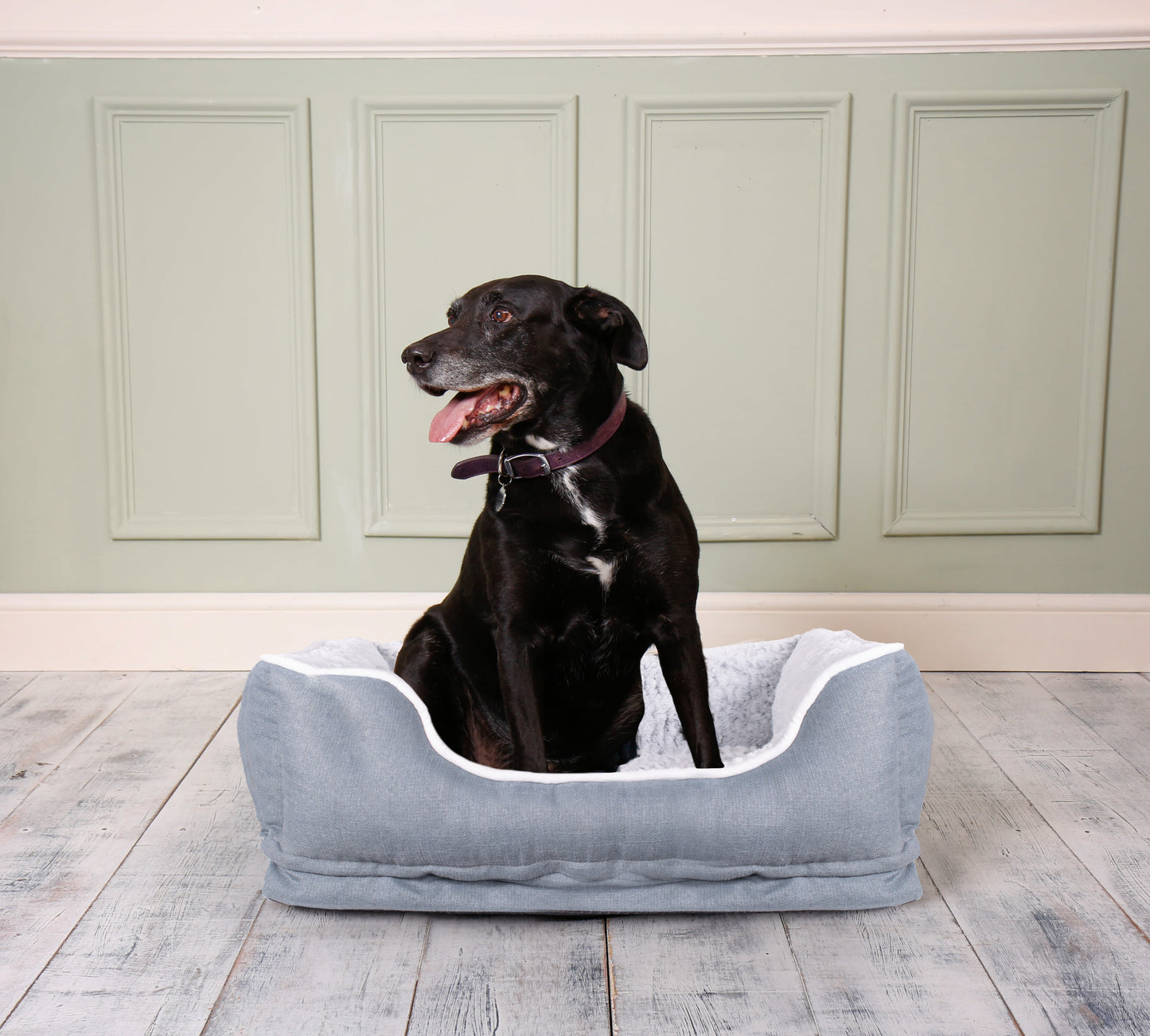 Dream Paws Grey Cosy Dog Sofa Bed