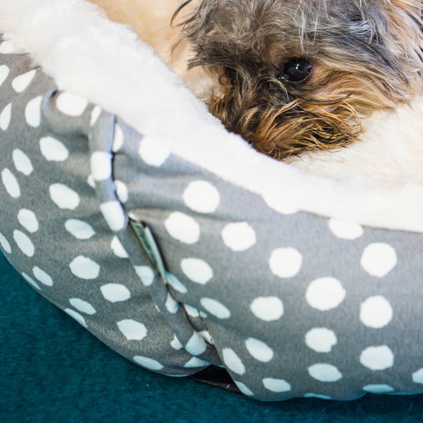 Dream Paws Scalloped Grey Dog Bed