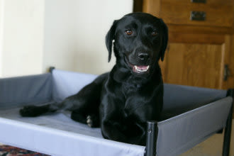 Henry Wag Elevated Grey Dog Bed