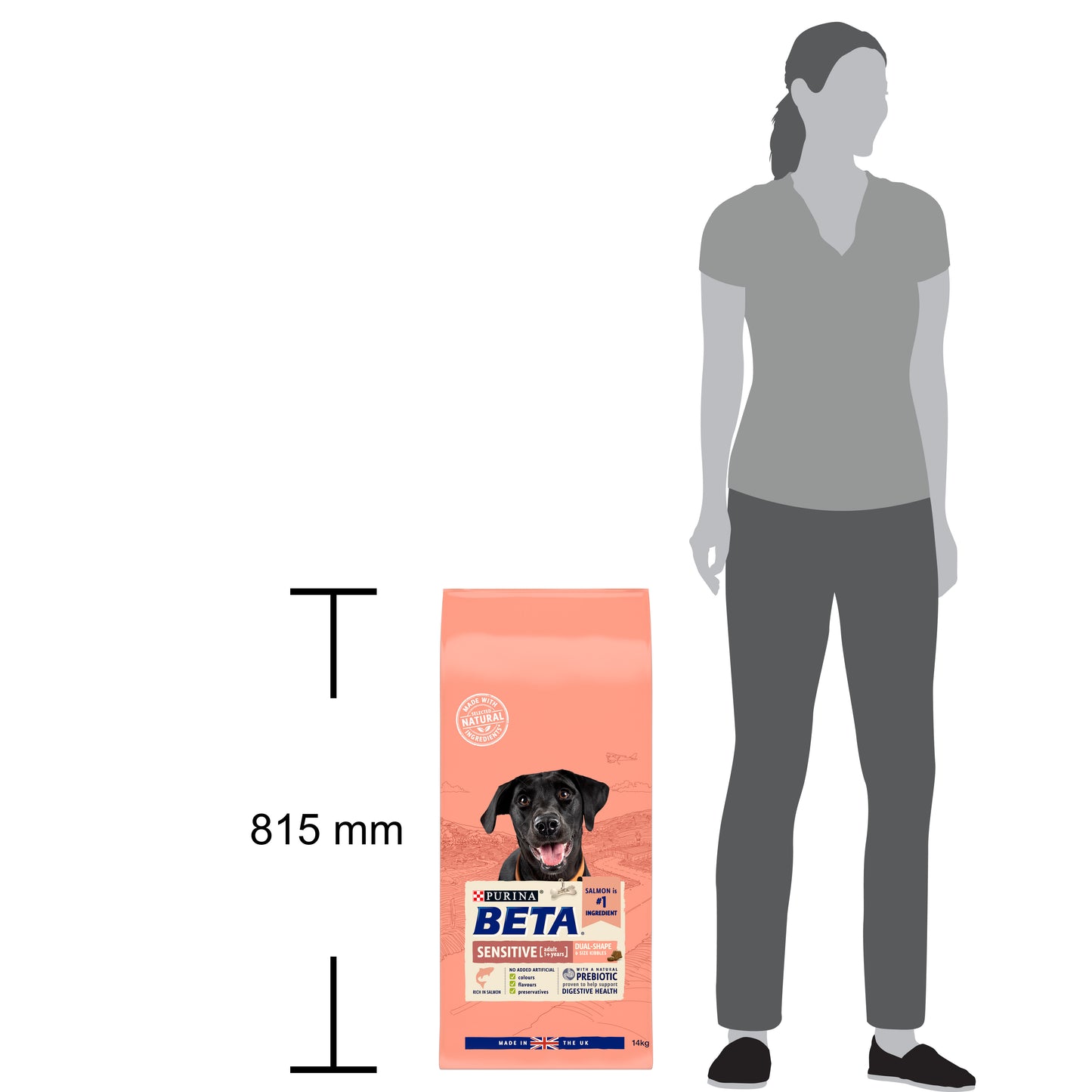 BETA Sensitive Dry Dog Food - Salmon