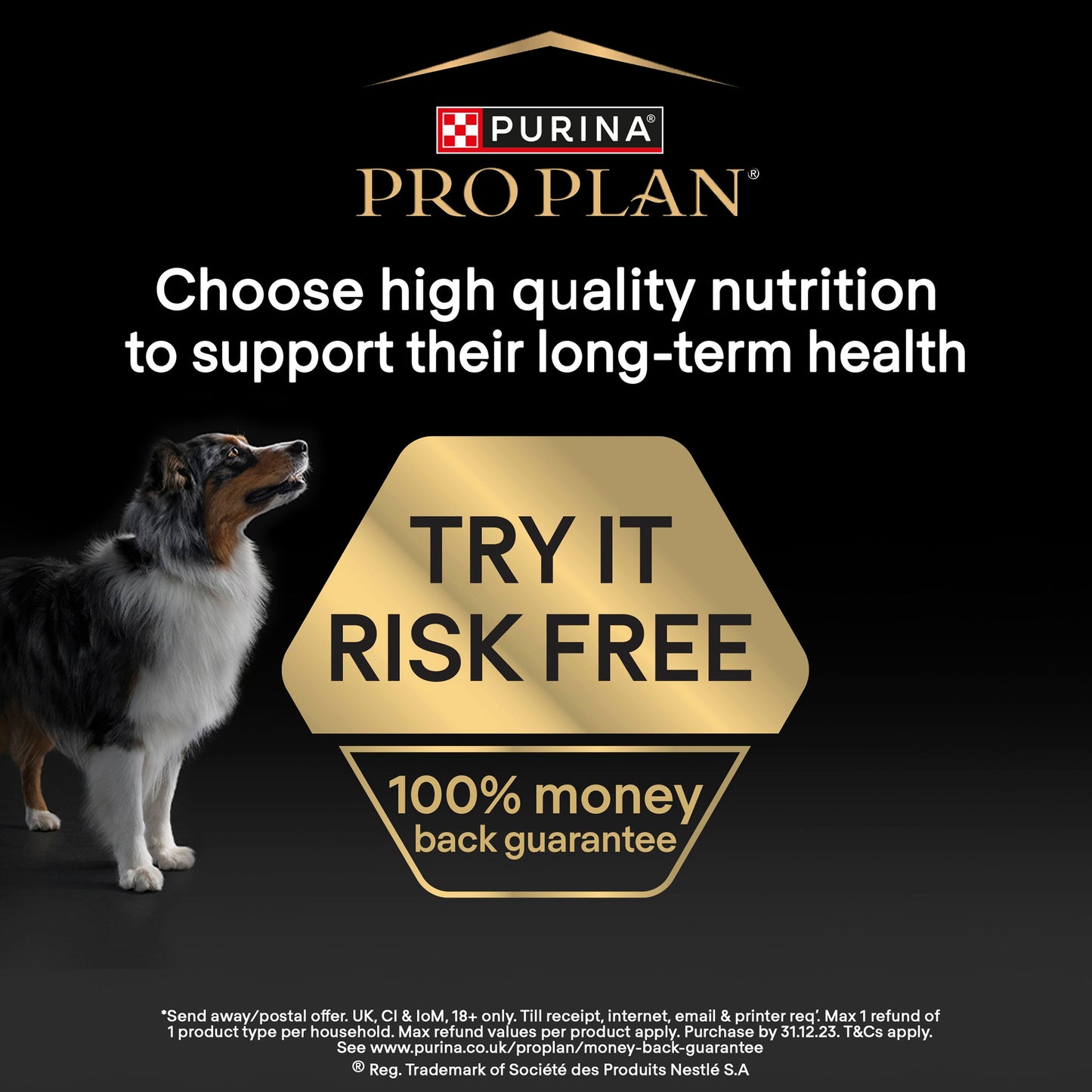 Purina Pro Plan FortiFlora Dog Probiotic Sachet