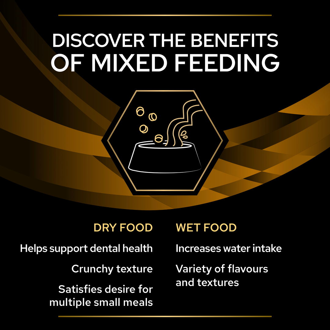 Purina Pro Plan Veterinary Diets NF Advanced Care Renal Function Wet Cat Food Chicken