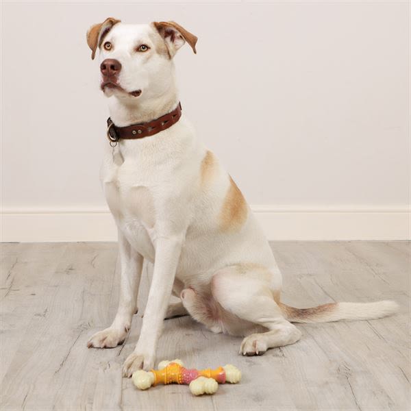 The Chew Factory Bacon & Maple Nylon Cross Dog Toy