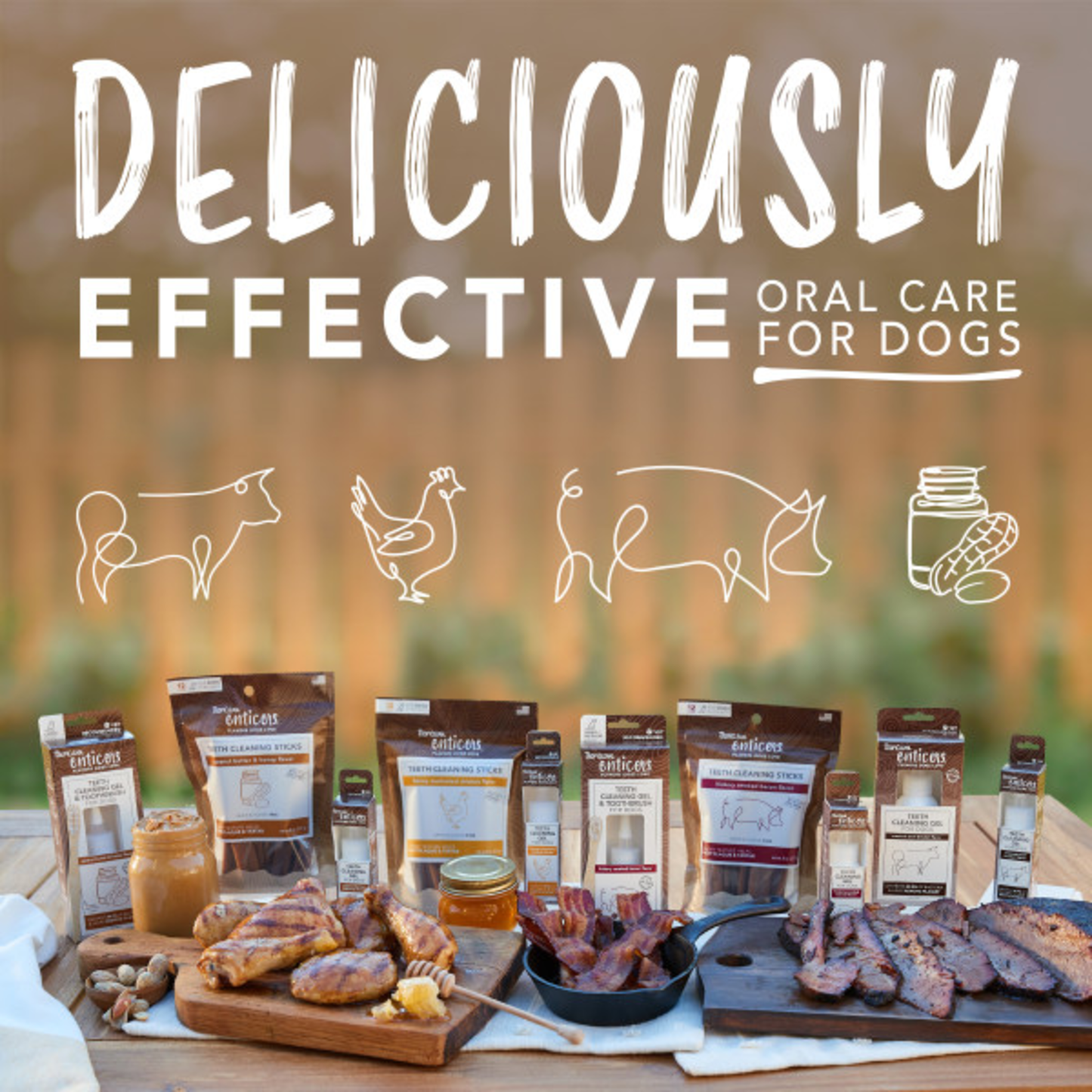 TropiClean Enticers Smoked Beef Brisket Flavour Dental Ball Kit for Dogs