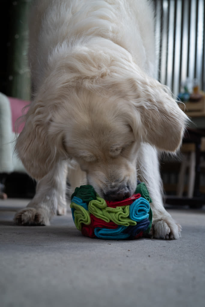 Petface Fabric Snuffle Ball Pet Treat Puzzle Toy