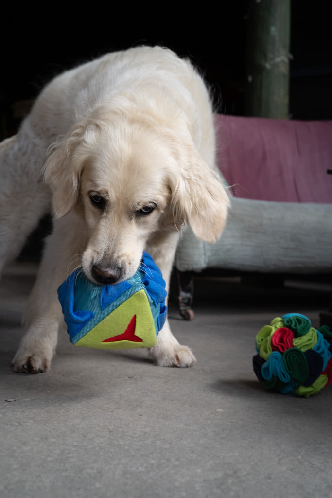 Petface Fabric Snuffle Triangle Pet Treat Puzzle Toy