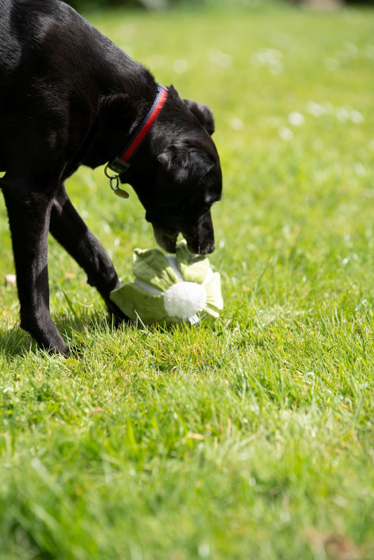 Petface Greenfingers Fluffy Callie Cauliflower White & Green Plush Dog Toy