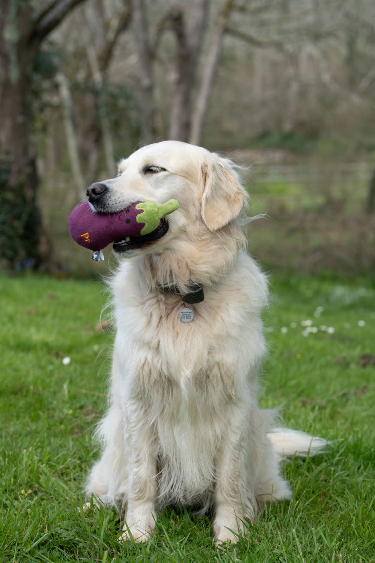 Petface Greenfingers Fluffy Aubri Aubergine Purple Plush Dog Toy