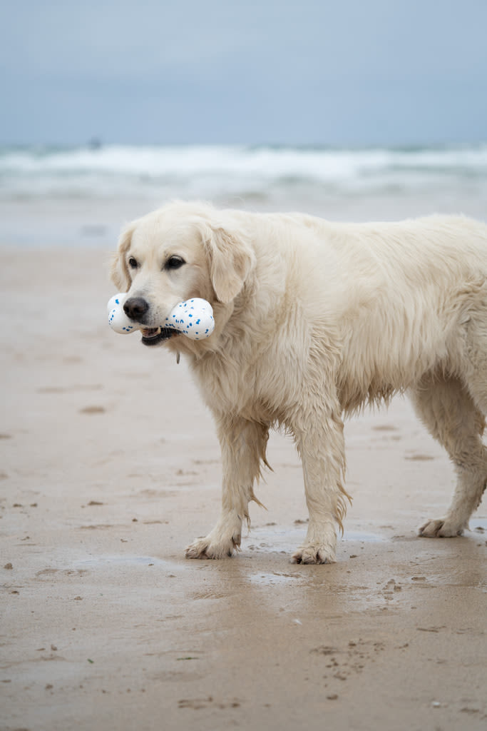 Petface Outdoor Paws Mighty White & Blue Bone Dog Toy