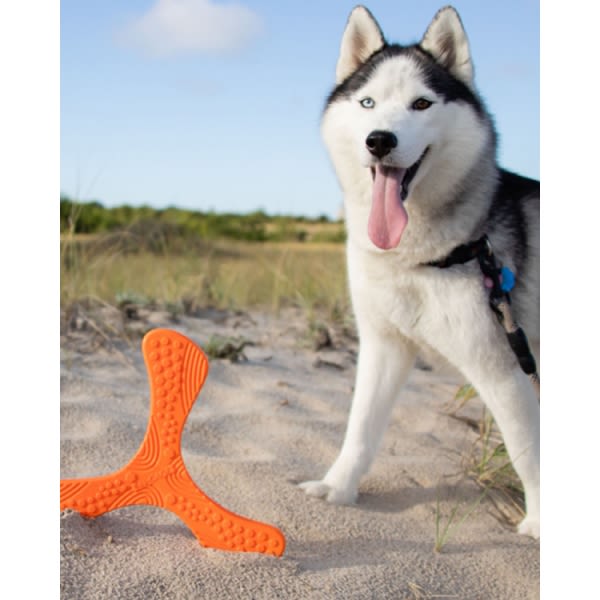 N-Gage Propeller Regular Dog Toy - Orange