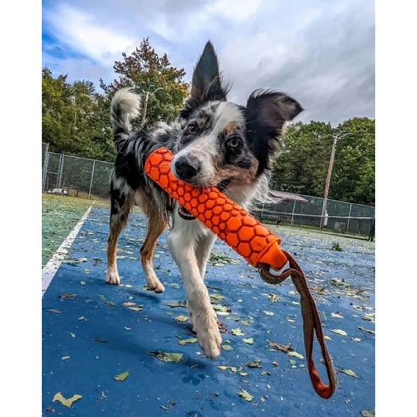 N-Gage Bumper Junior Dog Toy - Orange