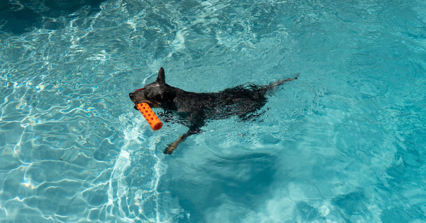 N-Gage Bumper Hydro Dog Toy - Orange