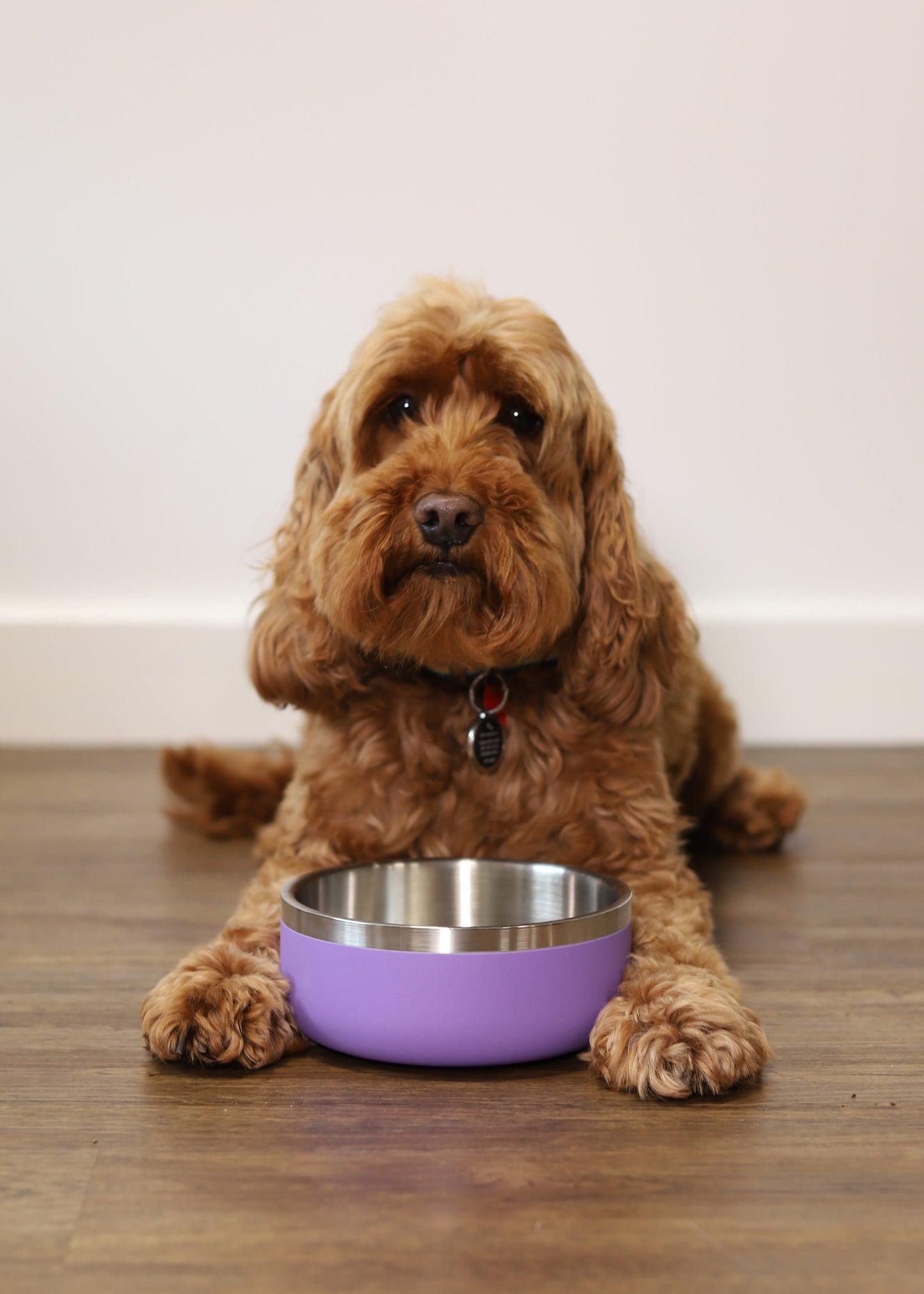 Rosewood Double Wall Stainless Steel Bowl - 350ml