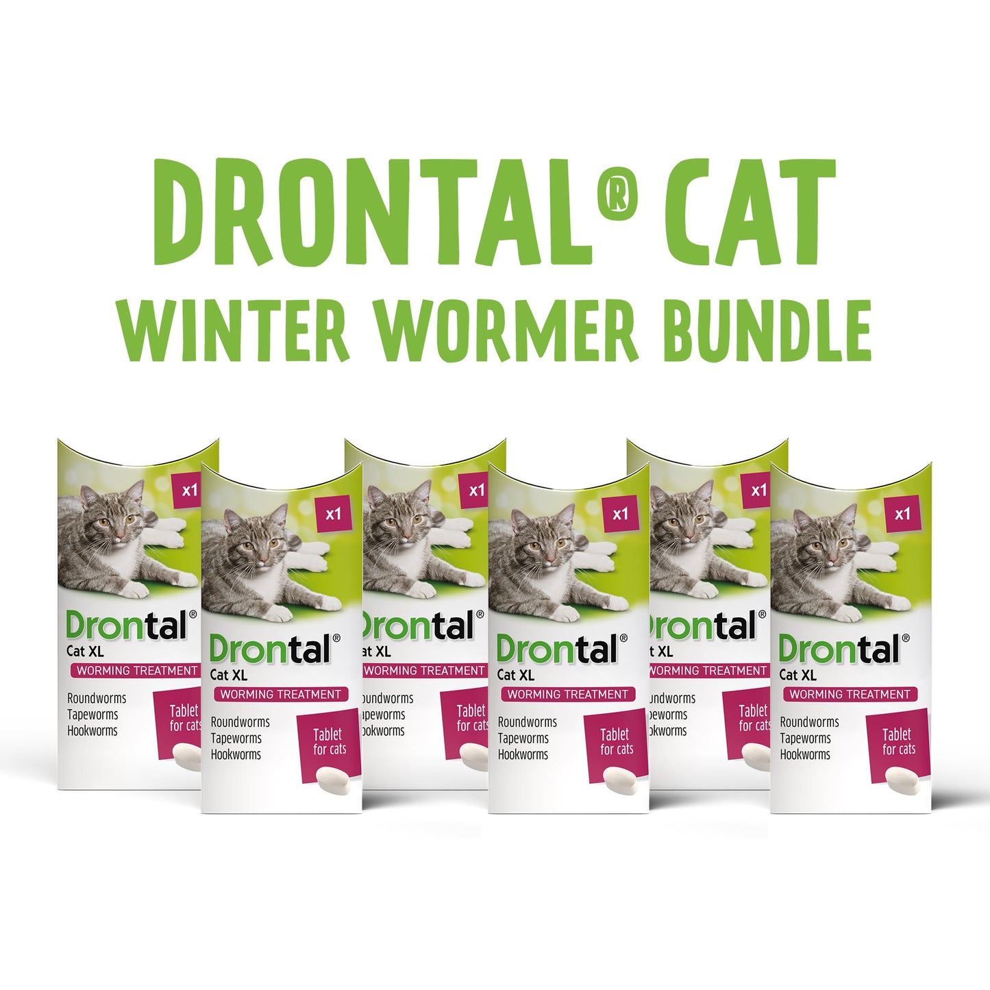 6x Drontal Wormer Tablets for Large Cats (Over 4kg)