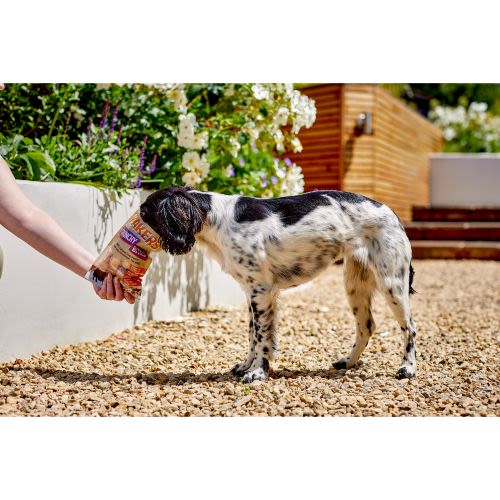 Yakers Adult Crunchy Bites Dog Treats - Cheese