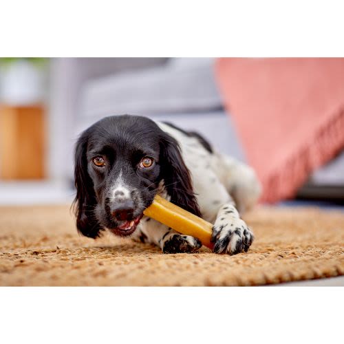 Yakers Adult Dog Chew Treats - Turmeric