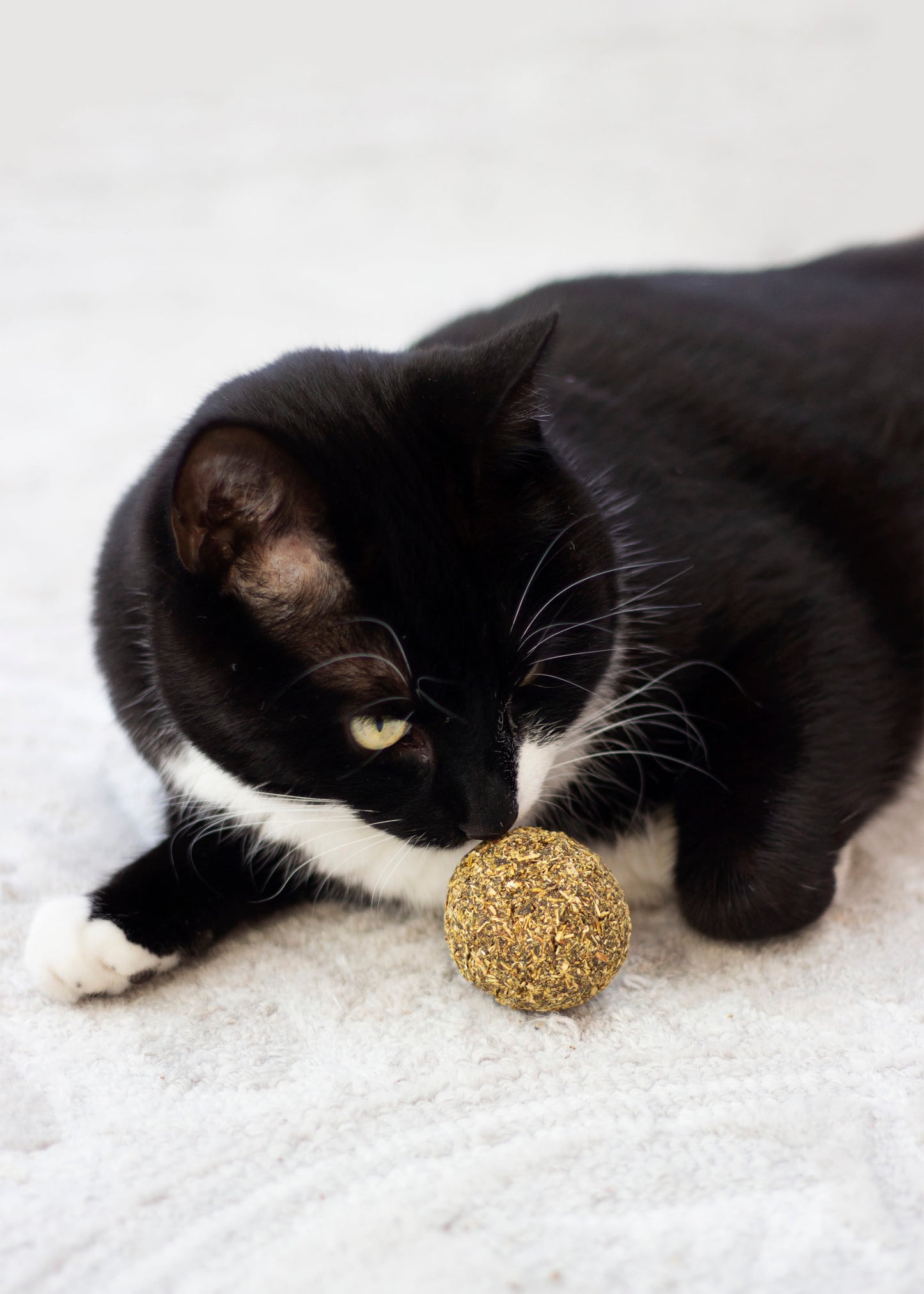 Rosewood Naturals Catnip Ball Cat Toy