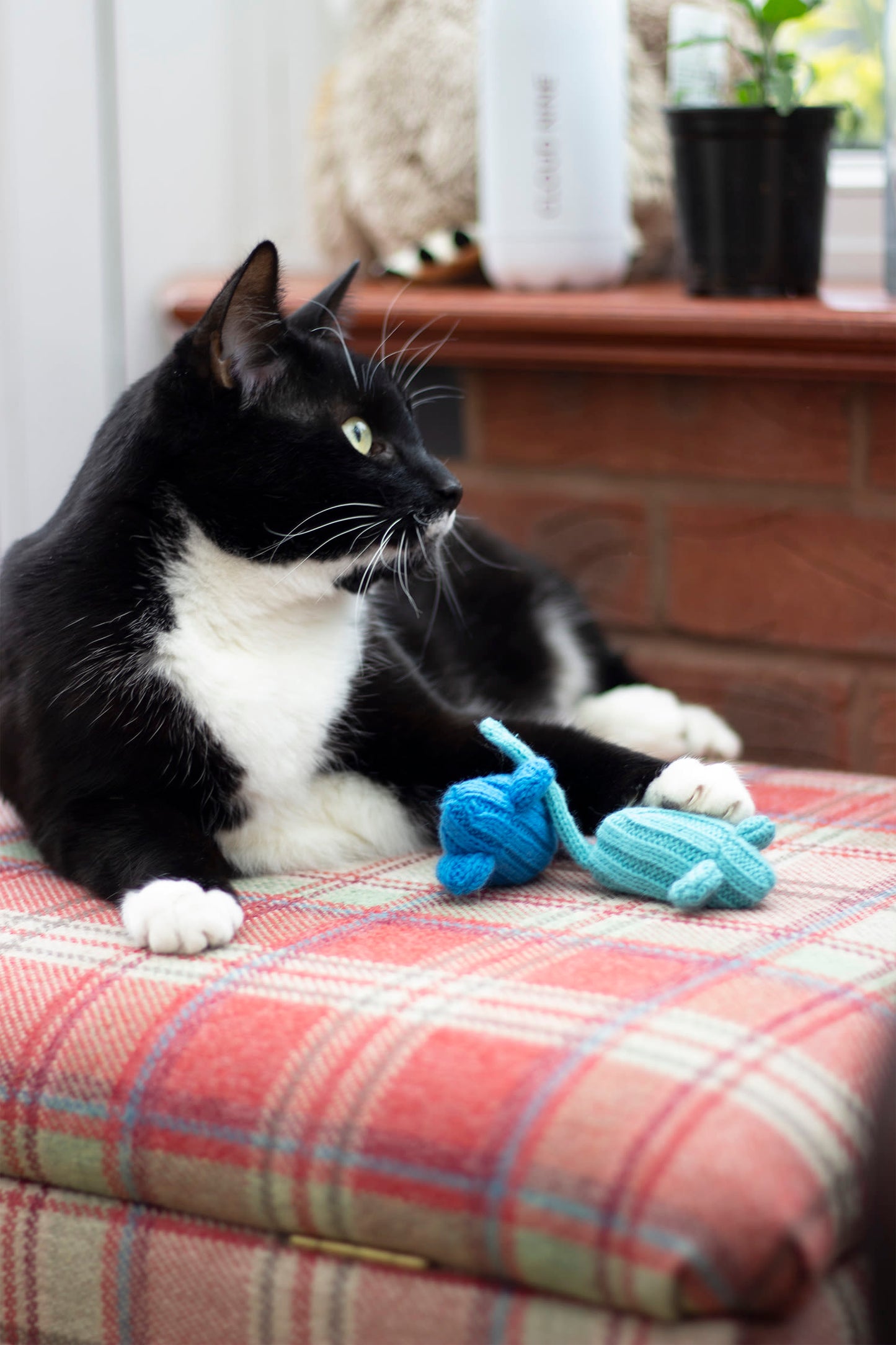 Rosewood Battersea Tune Chaser Mice Cat Toy