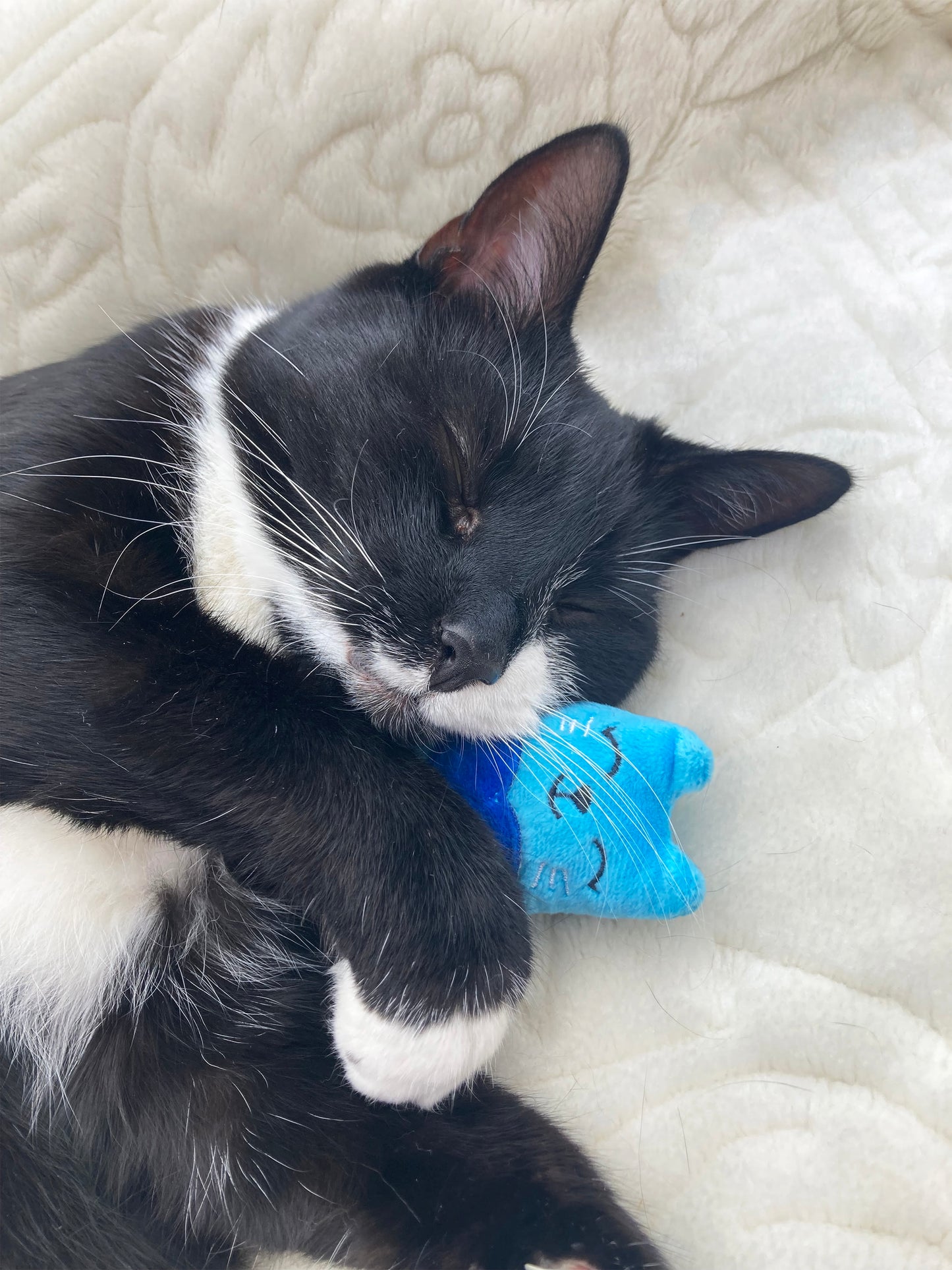 Rosewood Battersea Catnip Toy