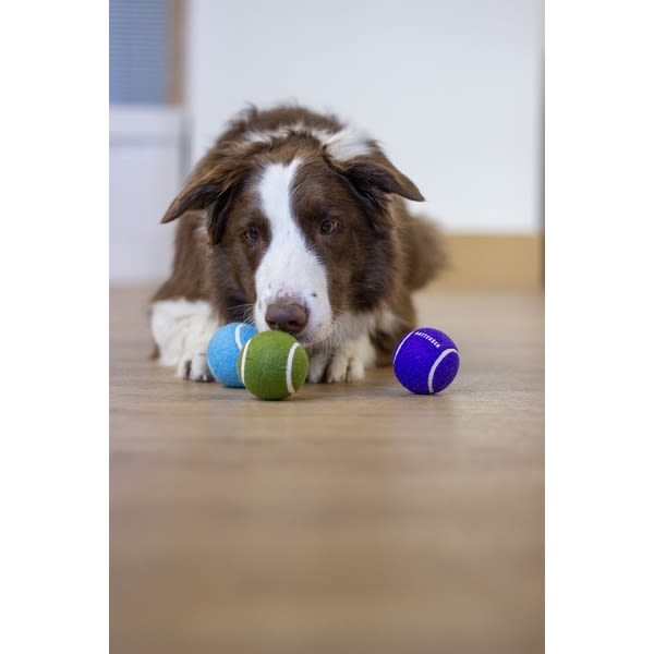 Rosewood Battersea Squeaky Tennis Balls Dog Toy