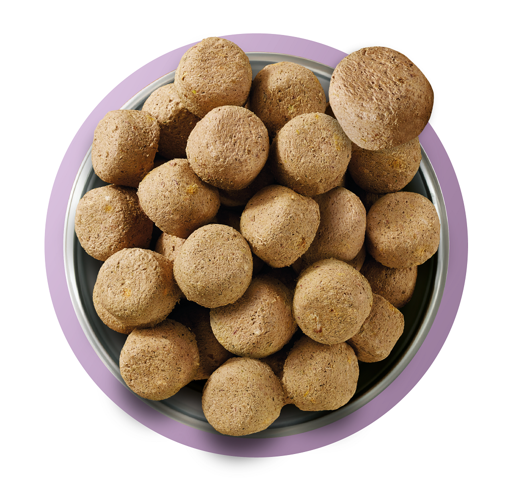 Natures Menu Complete and Balanced Adult Turkey Dry Dog Food