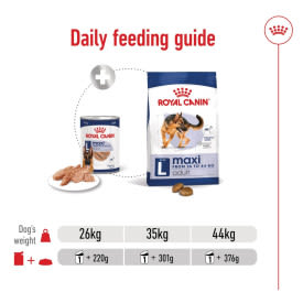 Royal Canin Maxi Adult Wet Dog Food in Loaf