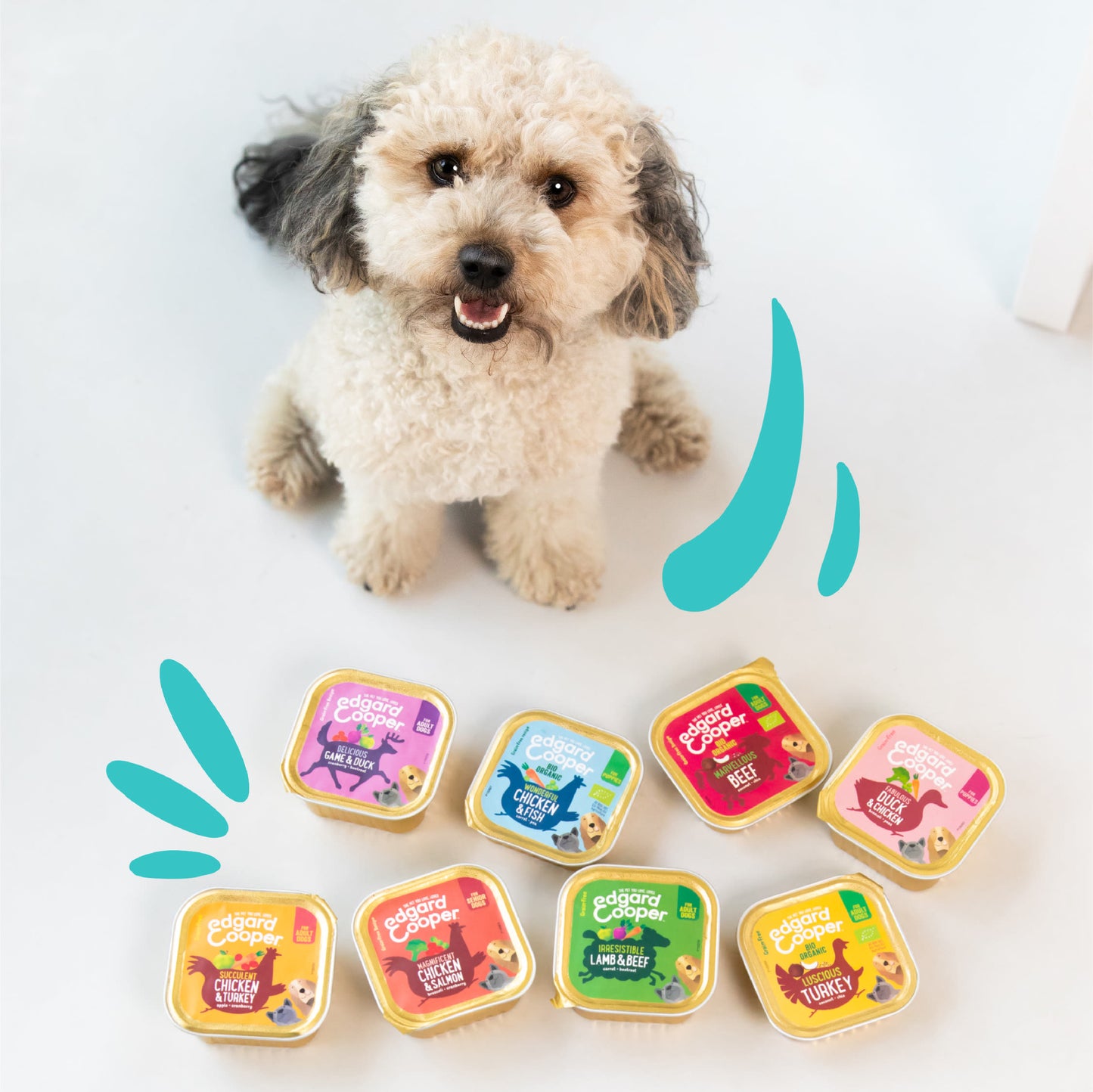 Edgard Cooper Grain Free Puppy Chicken & Fish Wet Dog Food