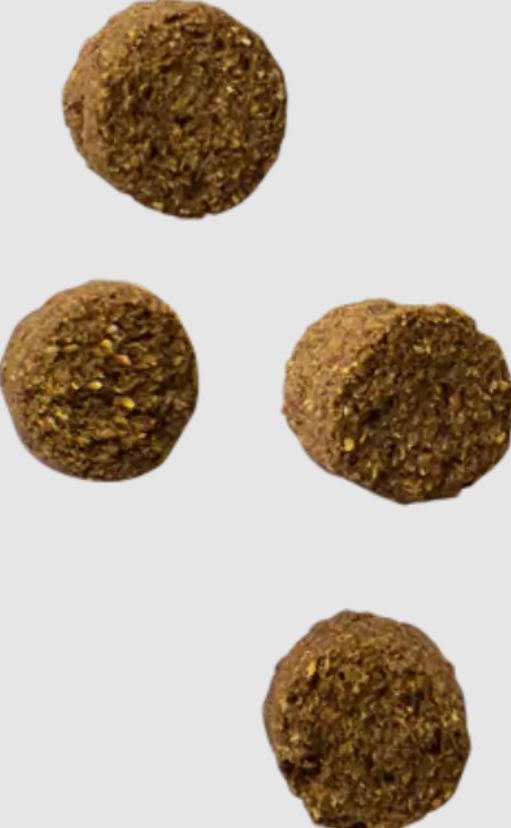 Wagg Twitch Rabbit Nuggets