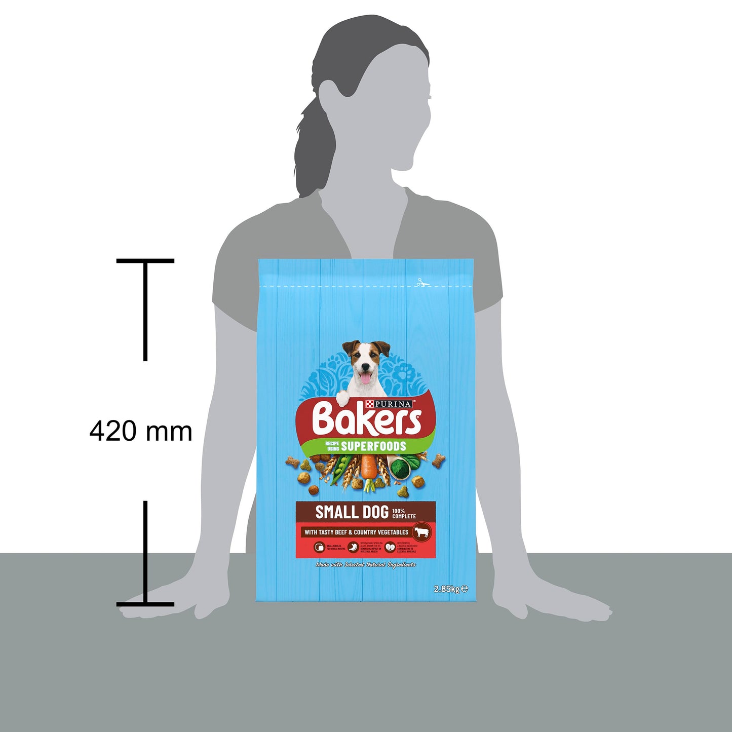 Bakers Beef Small Dry Dog Food