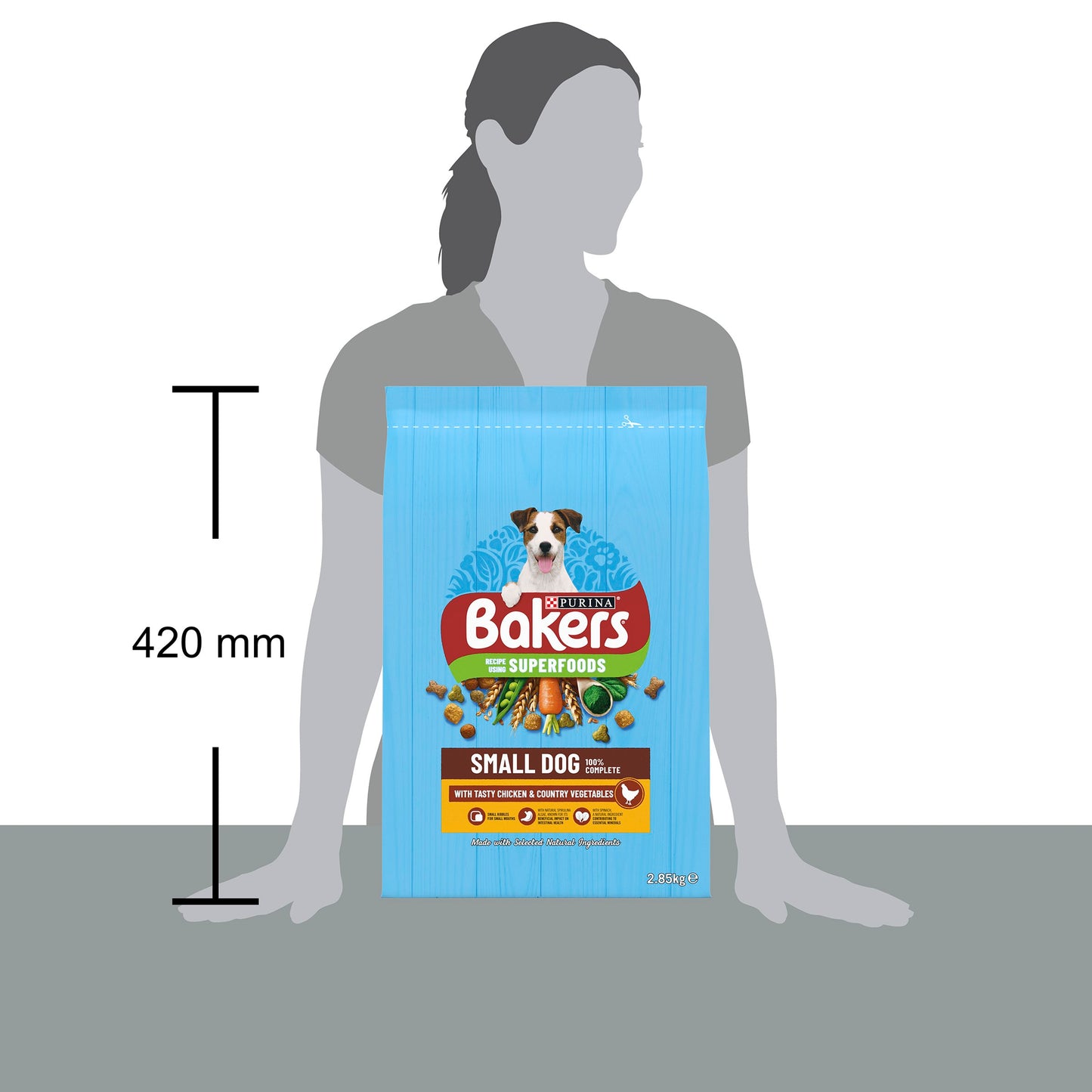 Bakers Chicken Small Dry Dog Food