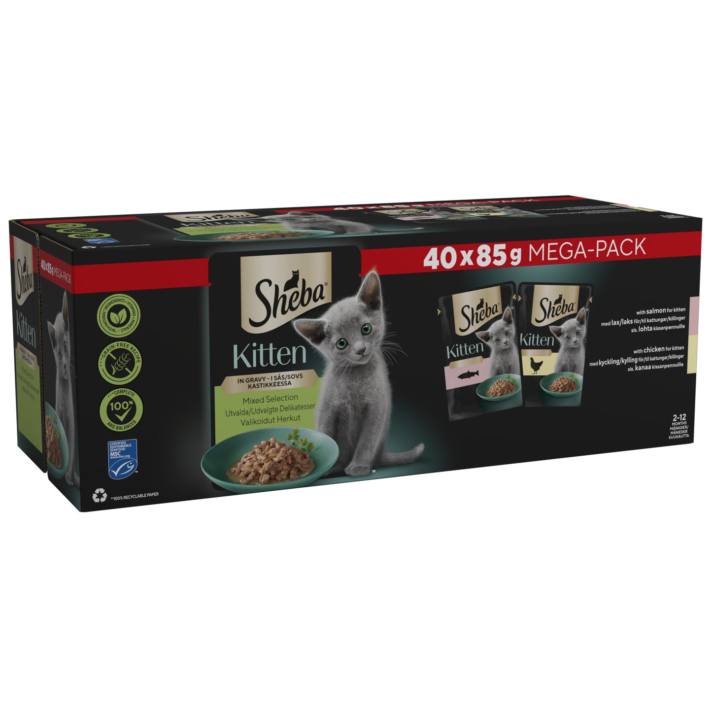 Sheba Sauce Collection Kitten Mixed Selection in Gravy