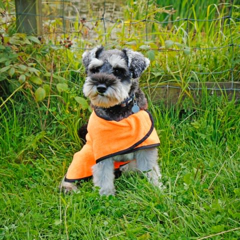 Rac Advanced Microfiber Dog Towel Coat