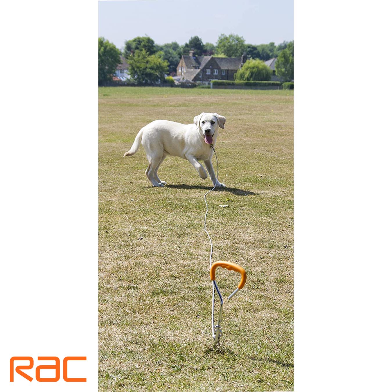 Rac Tie Out Steel Stake & Cable Kit