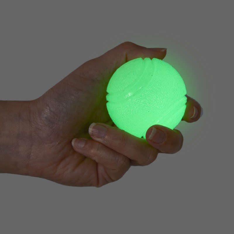 Petface Outdoor Paws Glow in the Dark TPR Ball Dog Toy